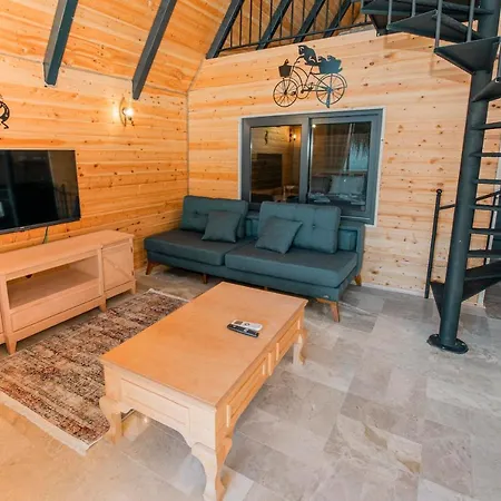 Sea Hill Faralya Vila