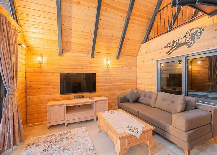 Sea Hill Faralya Villa *